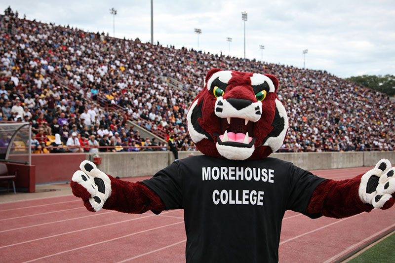 Campus Life & Student Experience