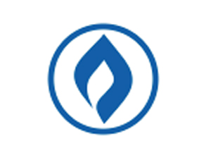 Washington Gas Lighting Company