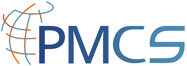 Professional Management Consulting Services 