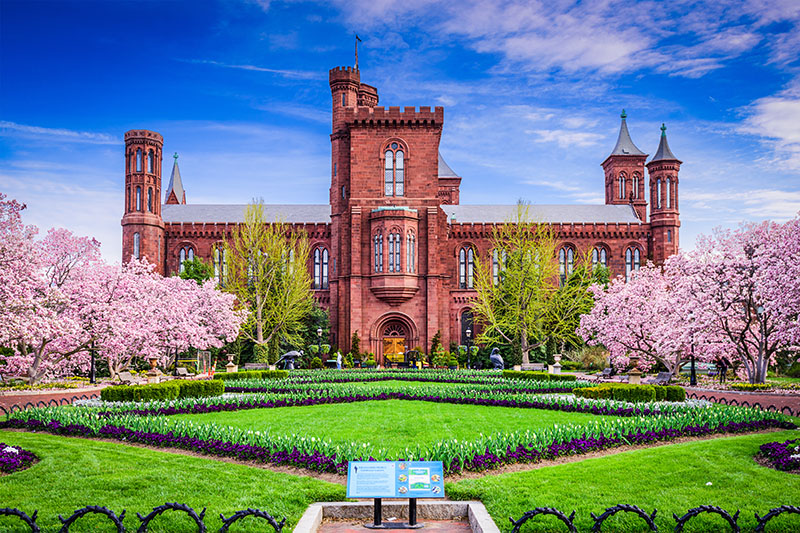 Living & Learning in Washington, D.C.